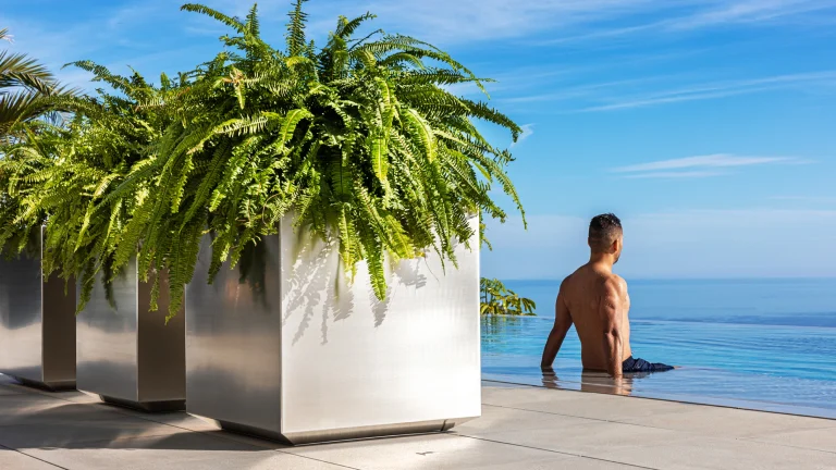 stainless planters