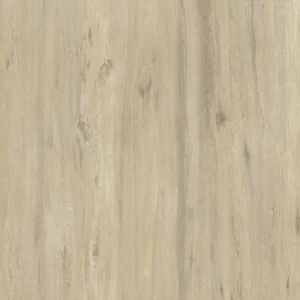 Kauai Pro 22