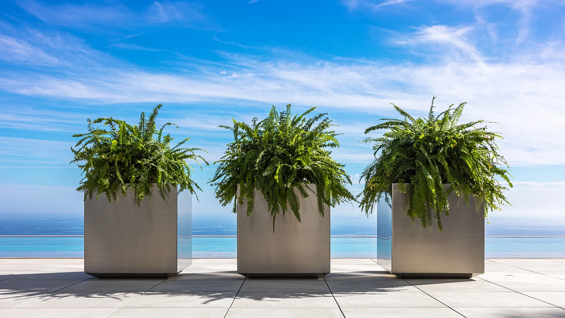 stainless 316 planter